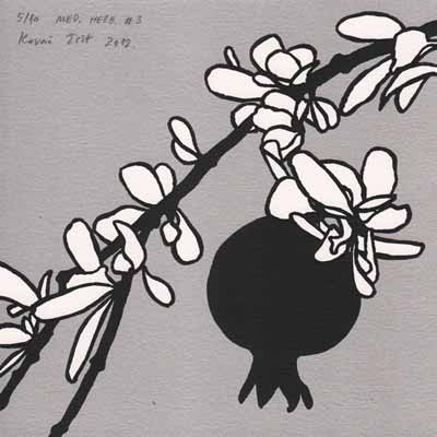 Mediteranski herbarijum - izložba